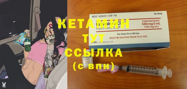 индика Горнозаводск