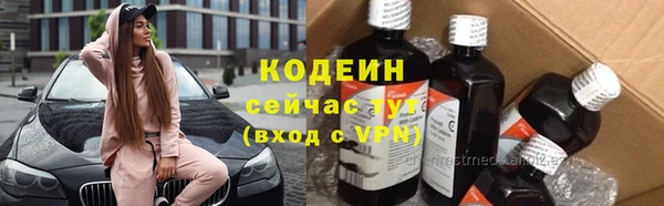 индика Горнозаводск