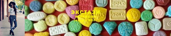 индика Горнозаводск