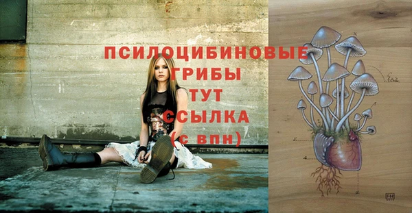 индика Горнозаводск