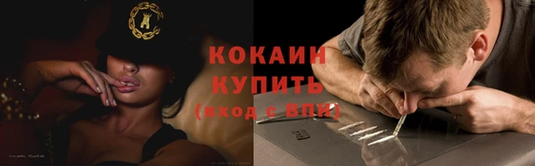 индика Горнозаводск
